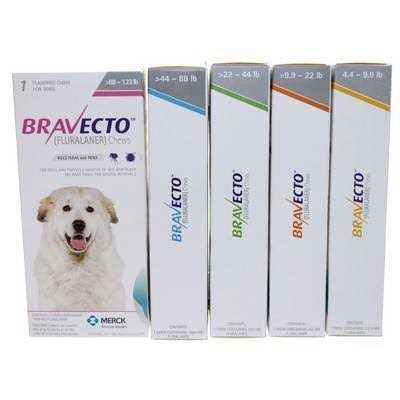 Bravecto Chews 1400mg - Nail Gallerys