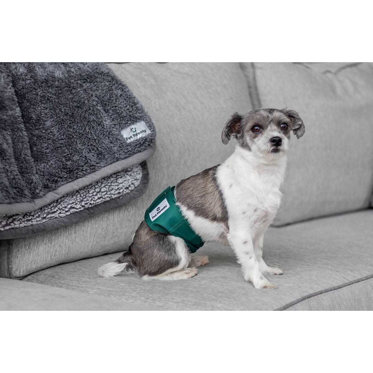 Pet Parents Washable Dog Belly Bands of Premium Male Dog Wraps - Nail Gallerys