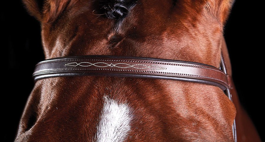 Collegiate ComFITec Fancy Stitch Bridle - Nail Gallerys