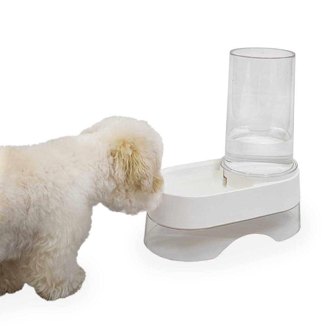 Richell Elevated Gravity Pet Water Dispenser - Nail Gallerys