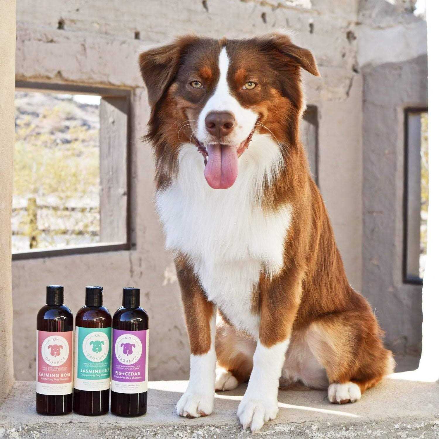 kin+kind Kin Organics Jasmine & Lily Dog Shampoo - Nail Gallerys