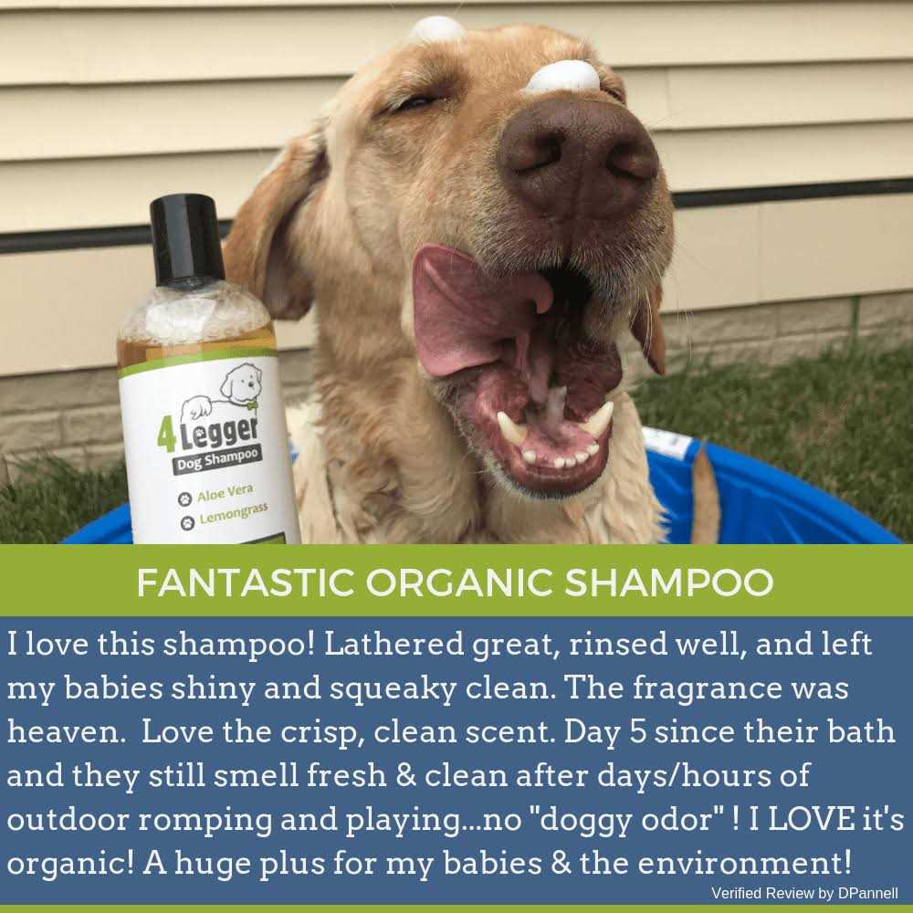 4-Legger Hypoallergenic Dog Shampoo with Organic Lemongrass - Nail Gallerys