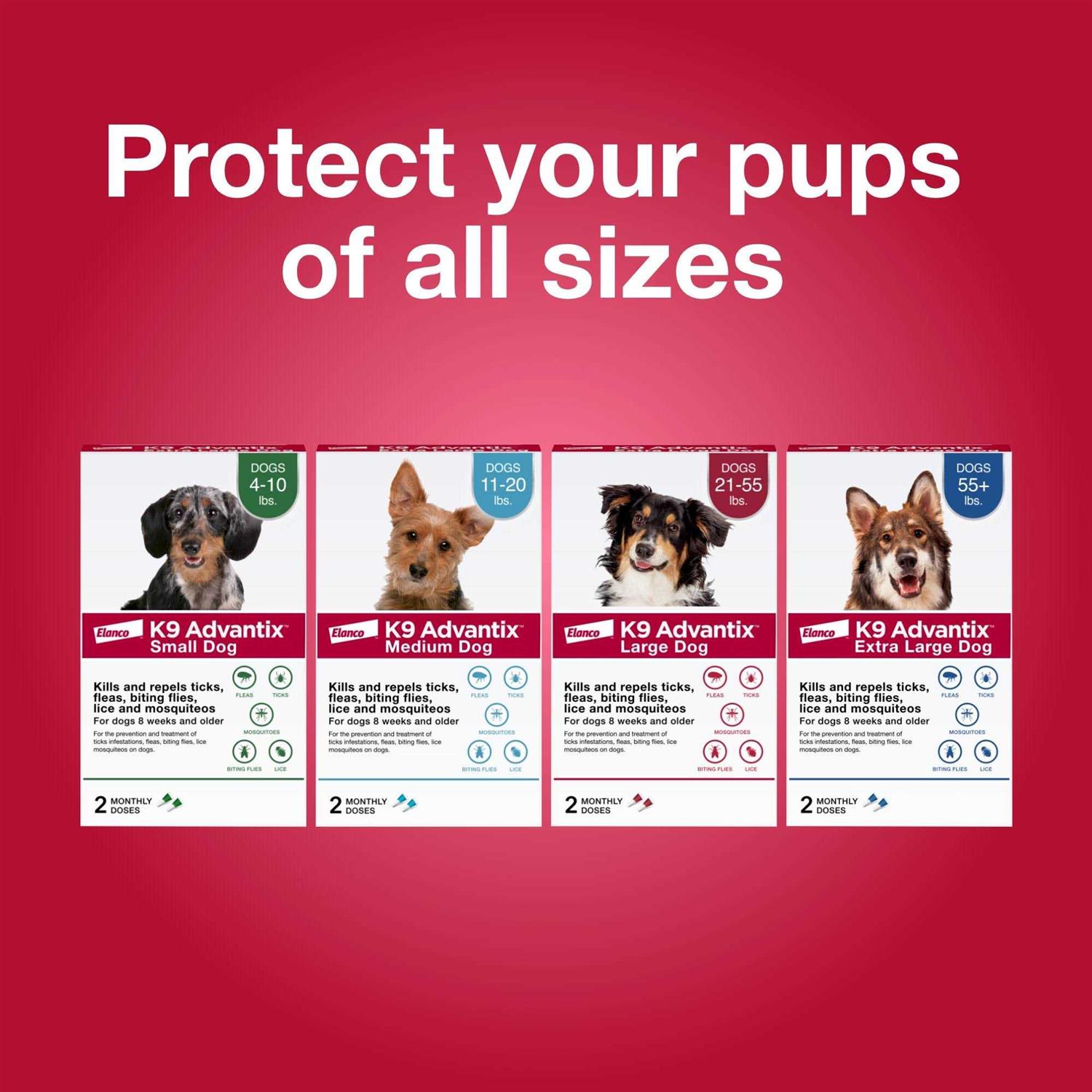 K9 Advantix Flea Tick & Mosquito Prevention for Small Dogs 4-10 lbs - Nail Gallerys