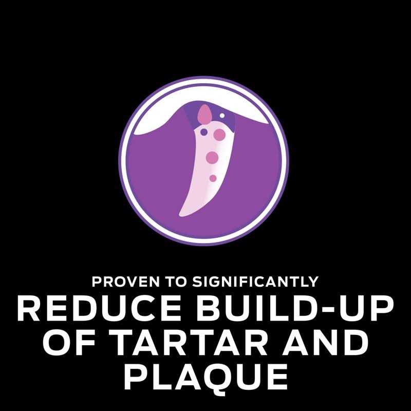 Purina Pro Plan Veterinary Diets DH Dental Health Formula Dry Cat Food - Nail Gallerys