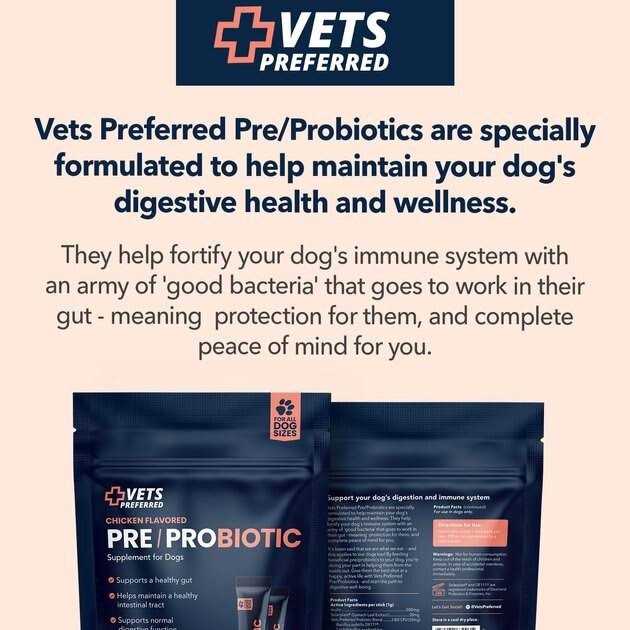 Vets Preferred Chicken Flavored Pre-Probiotic Powder Supplement for Dogs 30 Sticks - Nail Gallerys