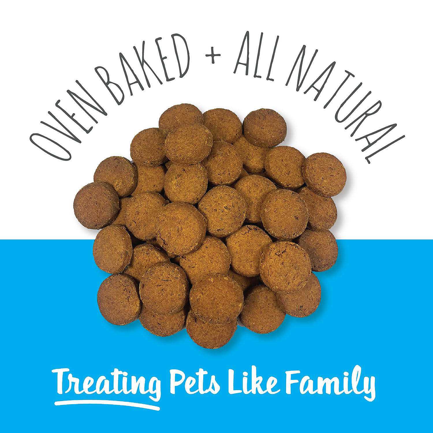 Snif-Snax Scottish Salmon Bites Dog Treats - Nail Gallerys