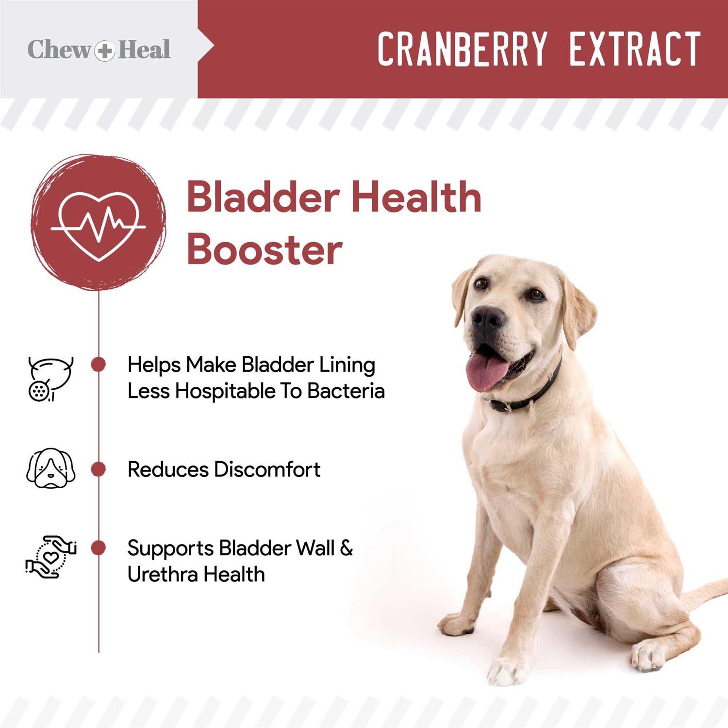 Chew + Heal UTI Treatment Cranberry Chews for Dogs - Nail Gallerys