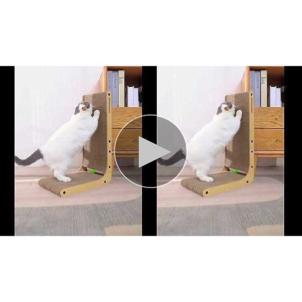 Familypoint Cat Scratcher Cat Scratchers for Indoor Cats Cardboard Cat Scratch Pad with Ball Toy - Nail Gallerys