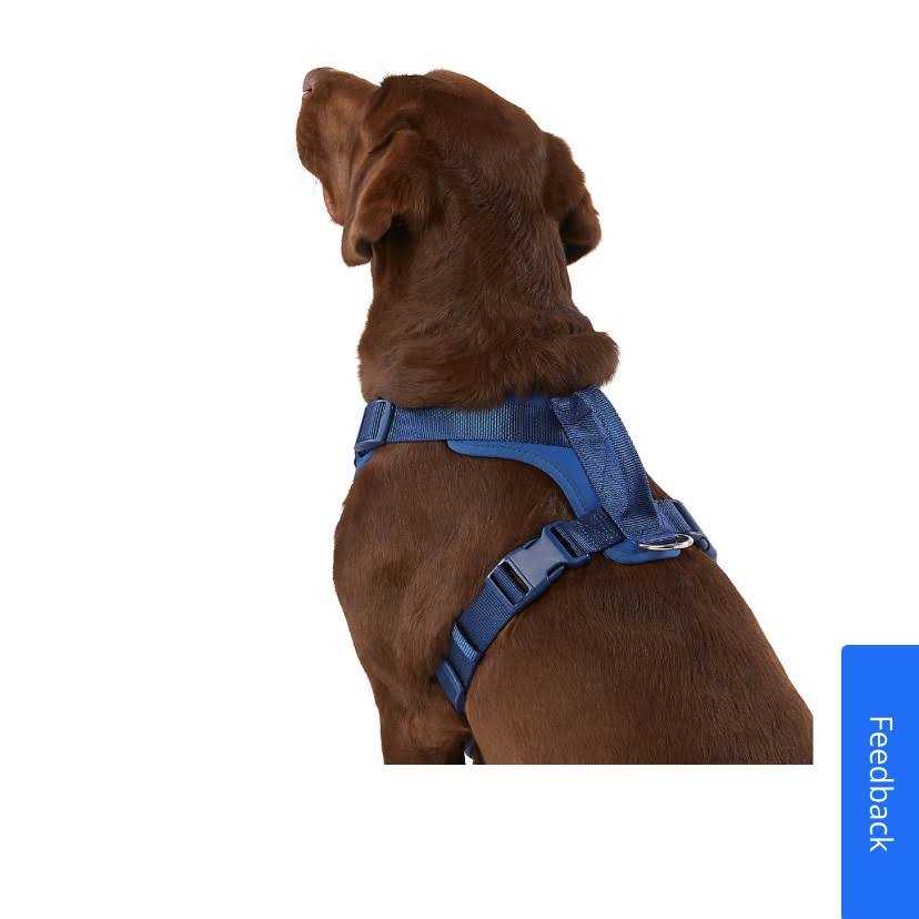 Top Paw Neoprene Comfort Dog Harness - Nail Gallerys