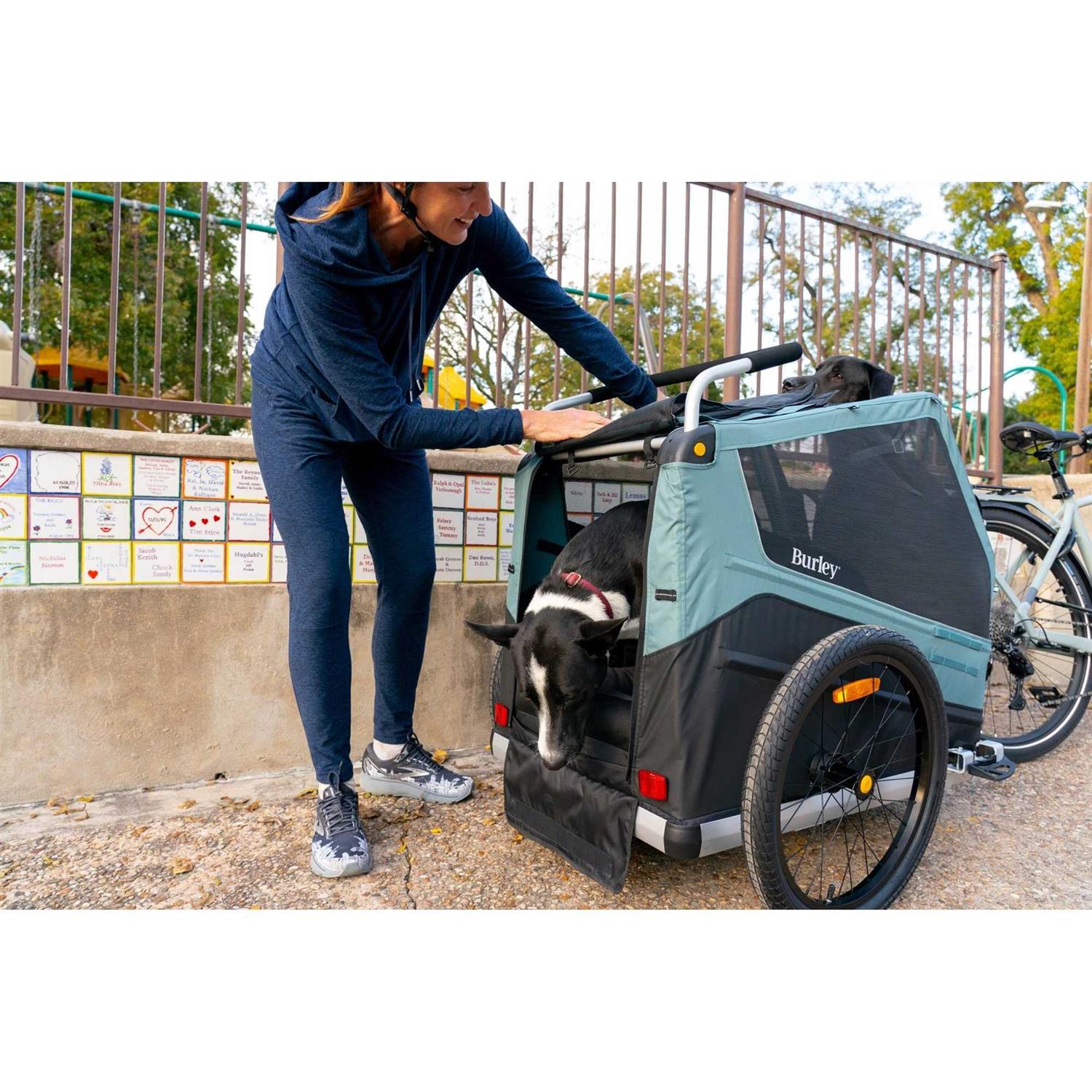 Burley Pet Bed - Nail Gallerys