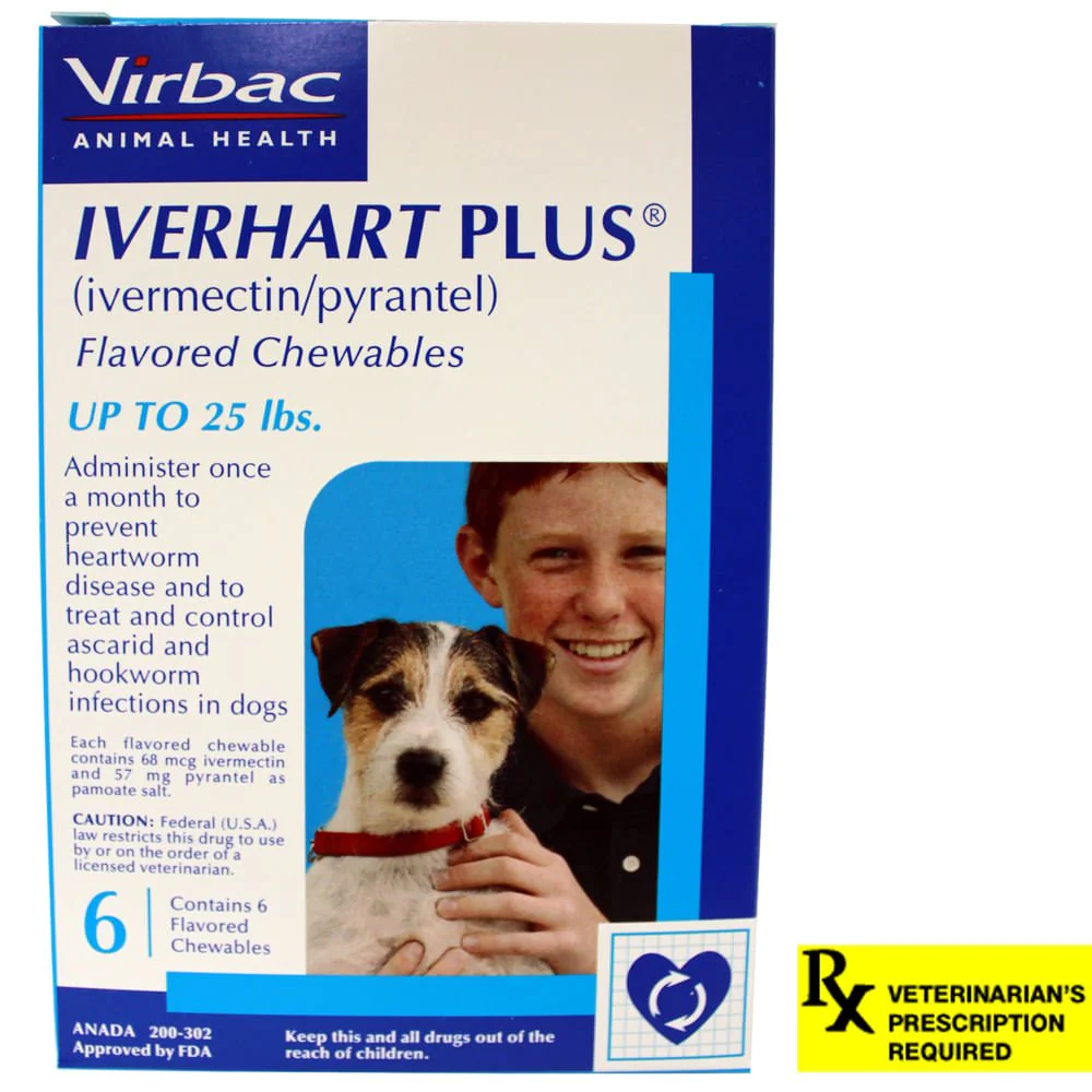 Rx Iverhart Plus (Ivermectin/ Pyrantel) Flavored Chewables for Dogs, 6 Month - Nail Gallerys