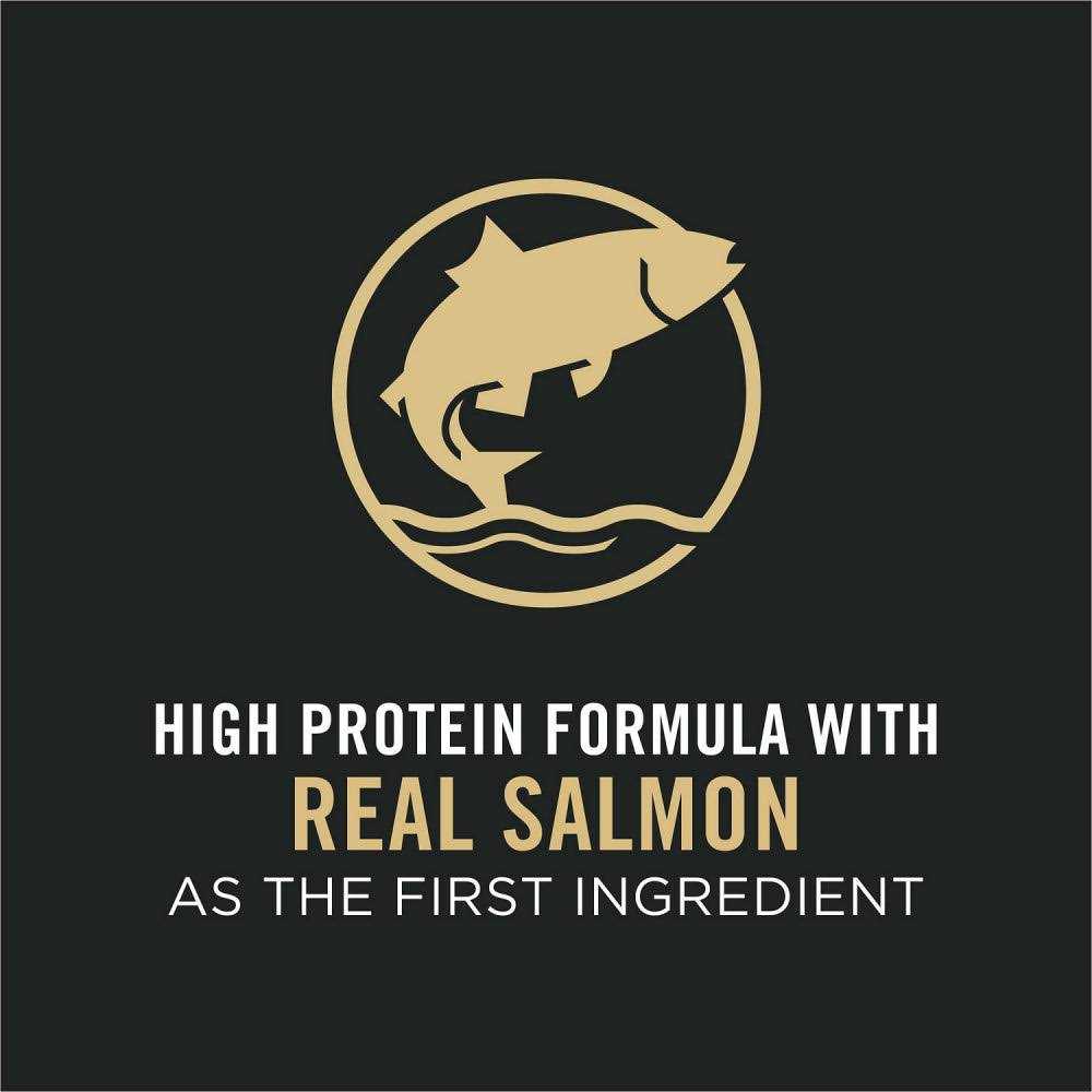 Purina Pro Plan Adult Salmon & Rice Formula Dry Cat Food - Nail Gallerys