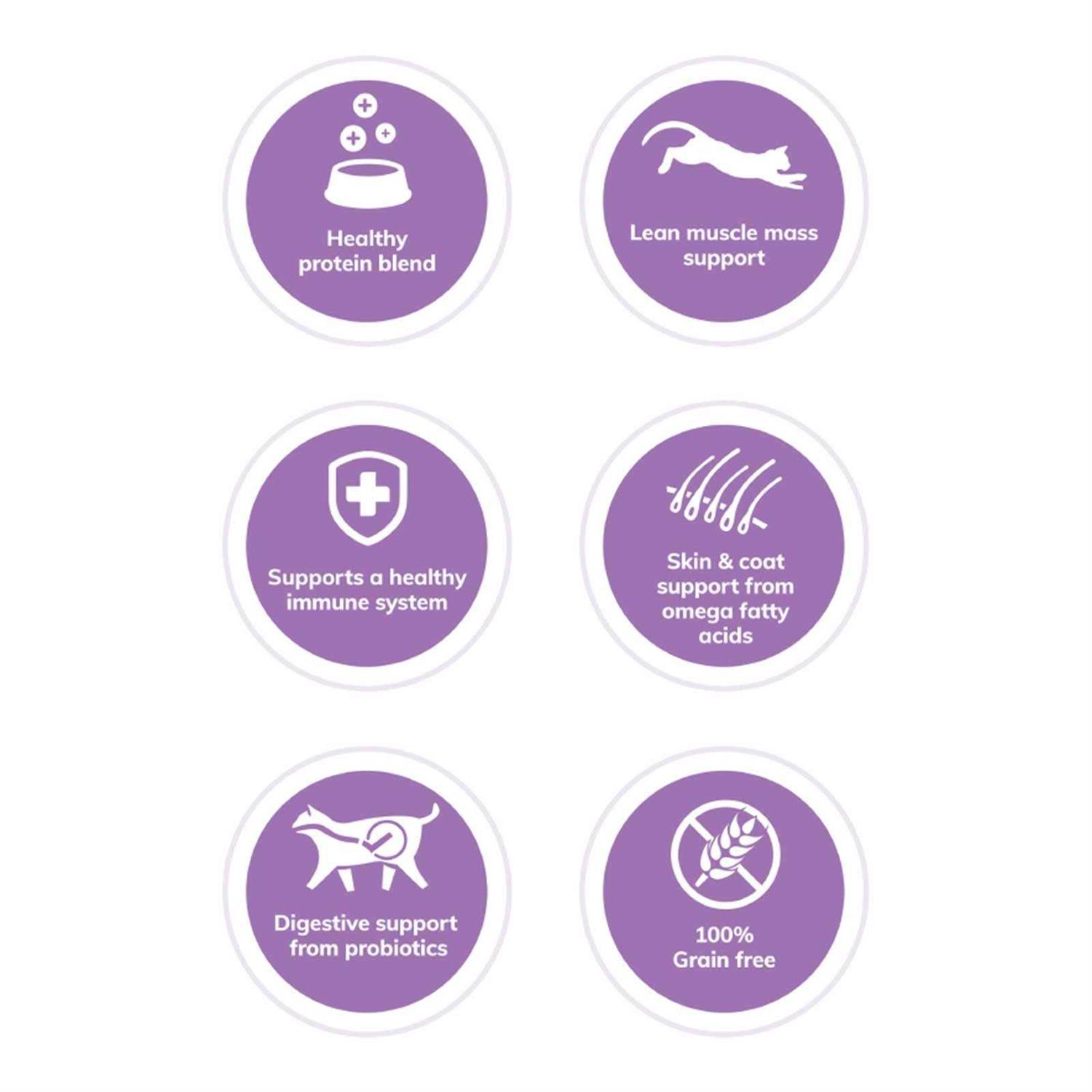 Wellness CORE Grain-Free Turkey Turkey Meal & Duck Dry Cat Food - Nail Gallerys