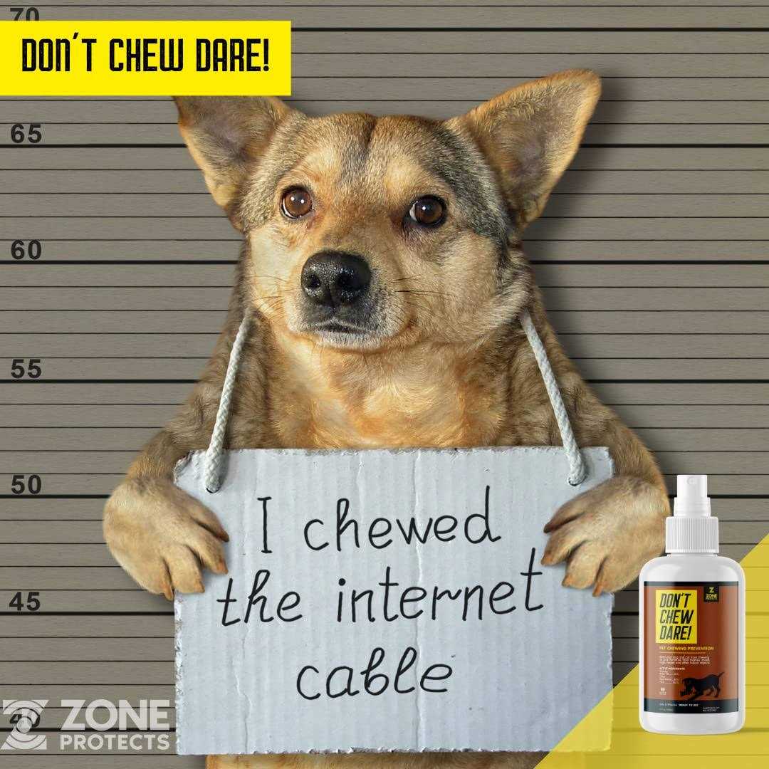 Zone Protects Don’t Chew Dare! Indoor Dog Chewing Prevention Spray - Nail Gallerys