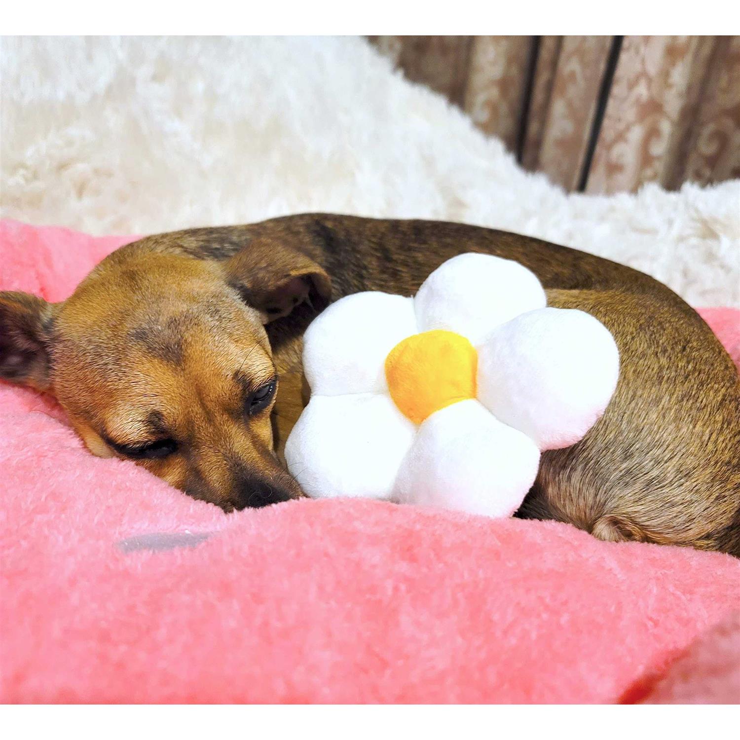 TONBO Soft Plush Small Cute and Cozy Food Dog Cat Bed, Washer and Dryer Friendly - Nail Gallerys