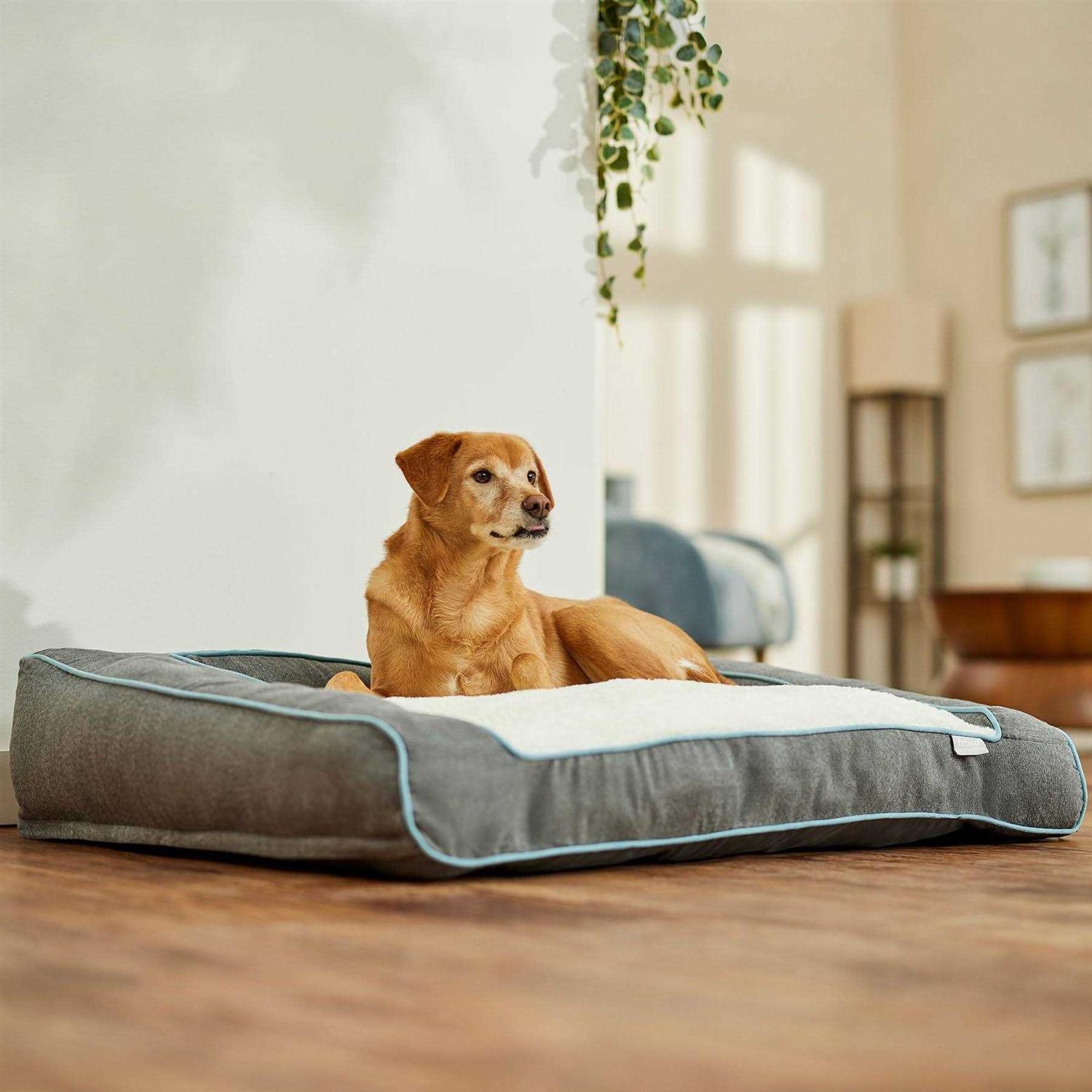 Frisco Orthopedic Bolster Dog Bed w/Removable COVER - Nail Gallerys