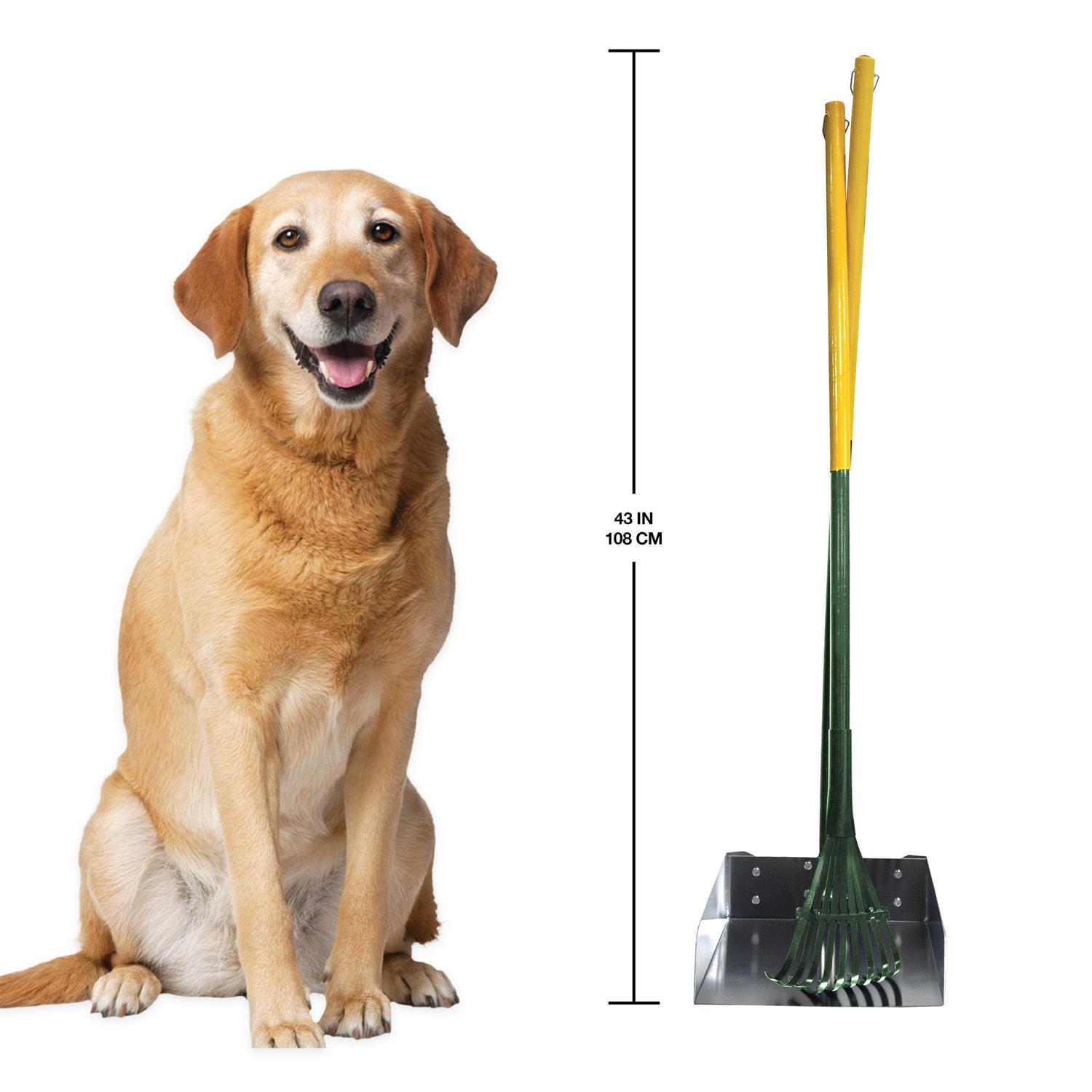 Four Paws Rake Set - Nail Gallerys