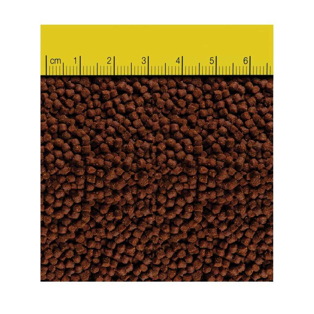 Reef Nutrition 3 oz Extra Small TDO-C1 Chroma Boost - Nail Gallerys