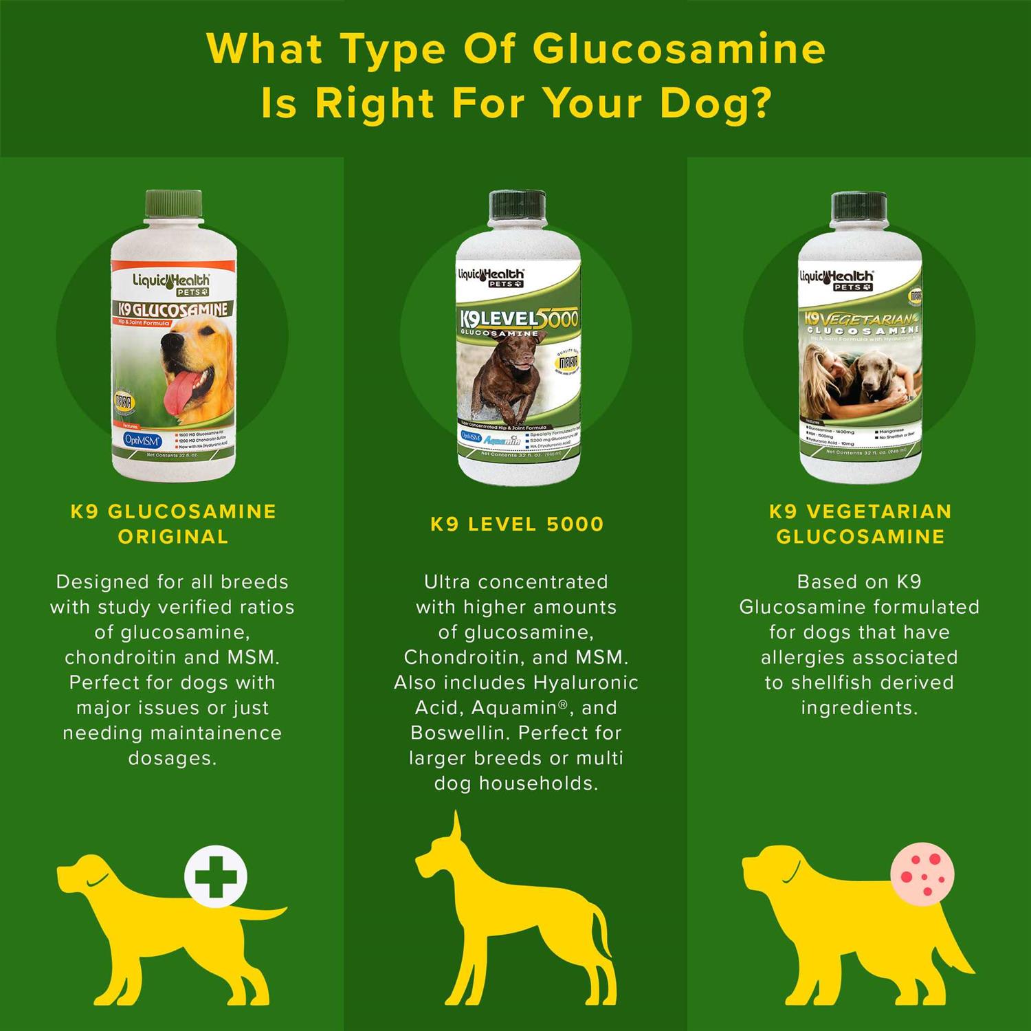 Liquid Health Pets K9 Glucosamine for Dogs Joint Supplement - Nail Gallerys
