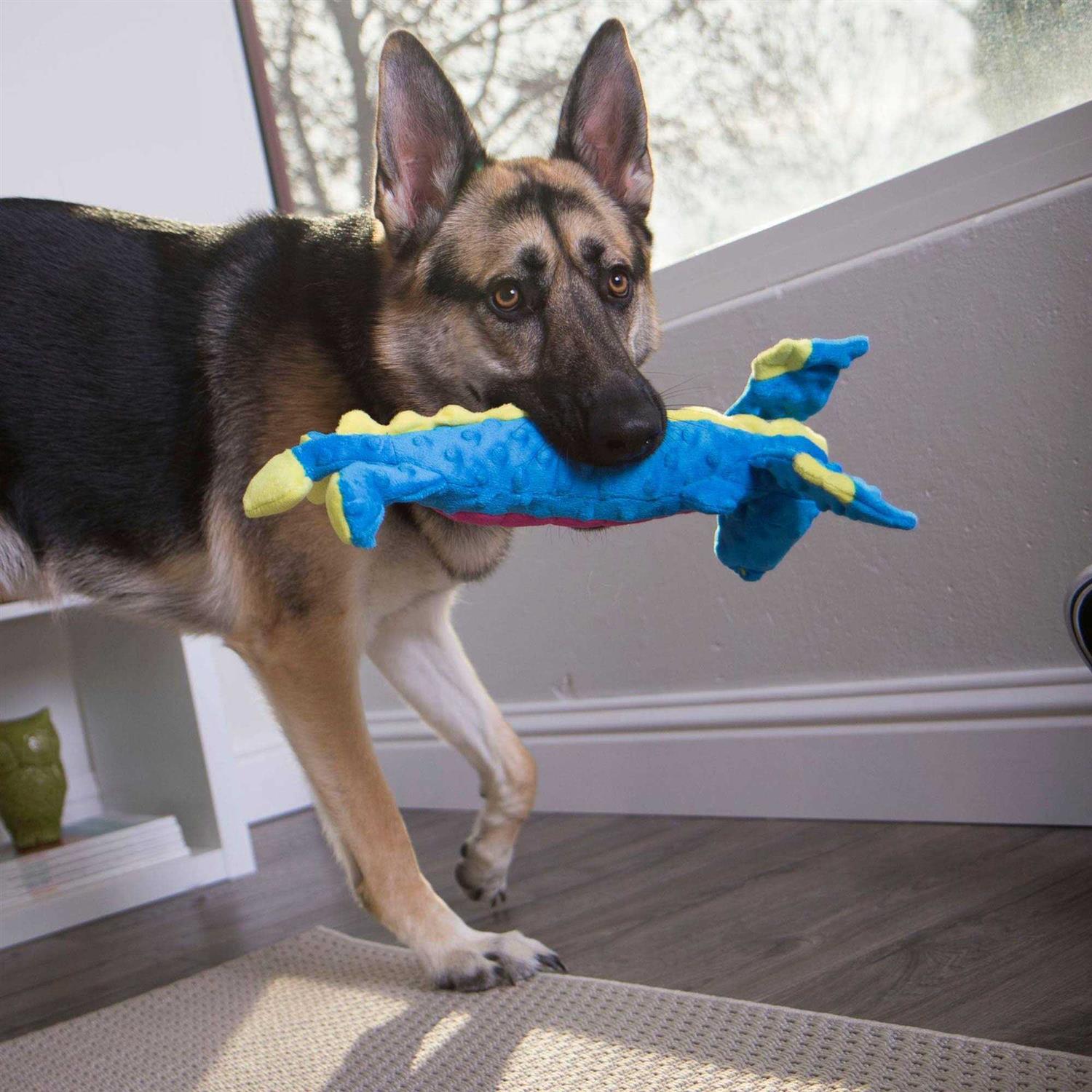 goDog Dragons Skinny Chew Guard Dog Toy - Nail Gallerys