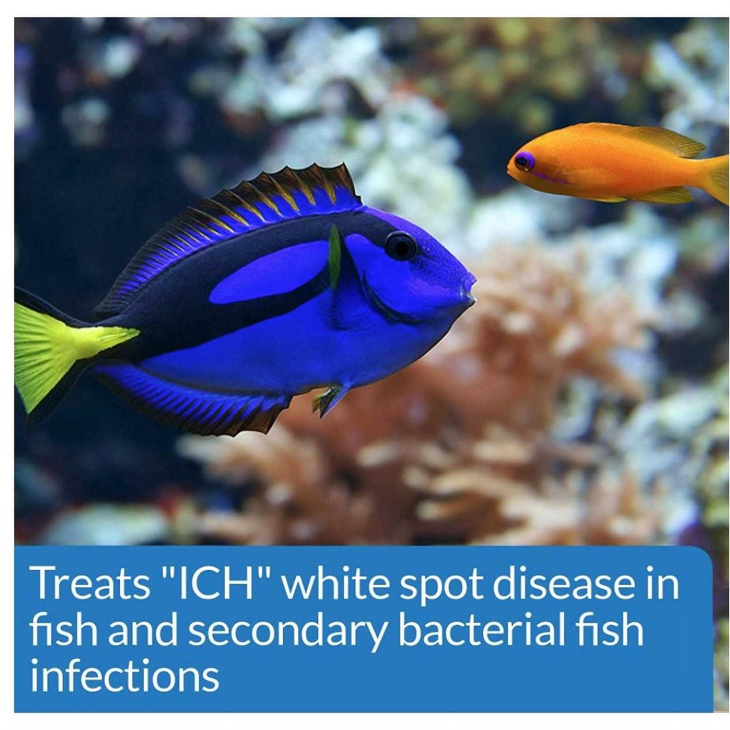 API Liquid Super Ick Cure - Nail Gallerys