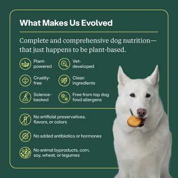 Wild Earth Golden Rotisserie Flavor Maintenance Formula Dry Dog Food - Nail Gallerys