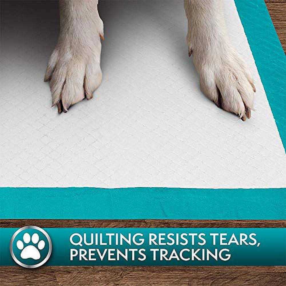 Simple Solution Extra Large Training Pads - Nail Gallerys
