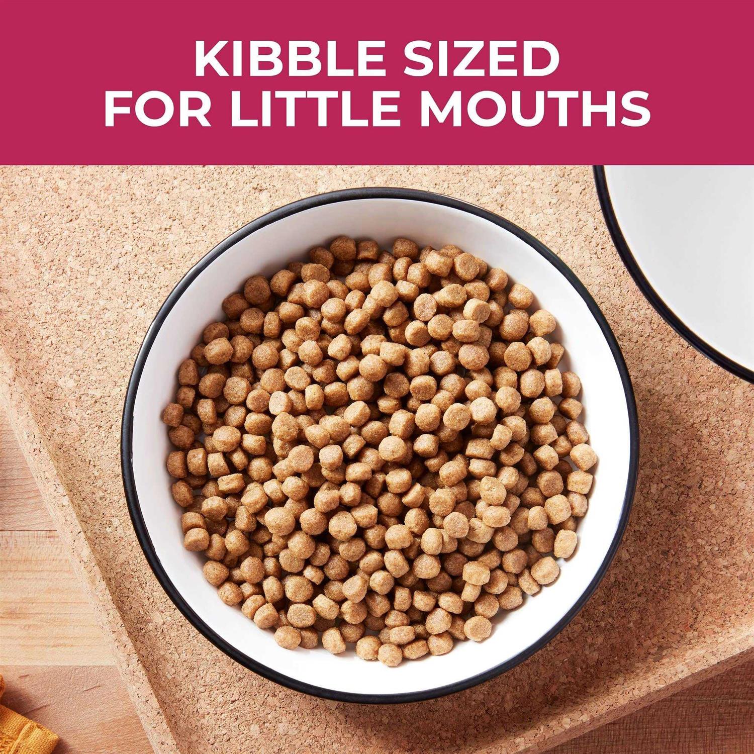 Nature’s Recipe Recipe Small Bites Dry Dog Food - Nail Gallerys