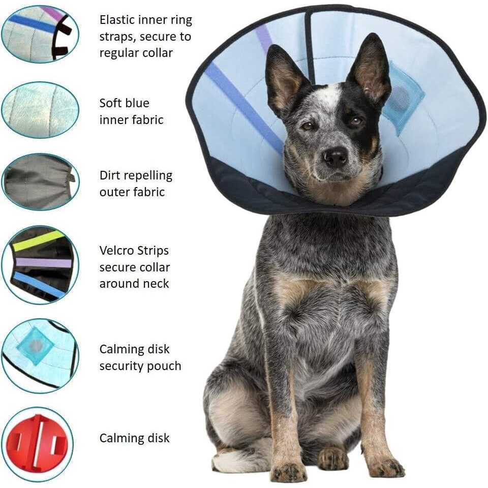 Calm Paws Dog Calming Caring Collar - Nail Gallerys