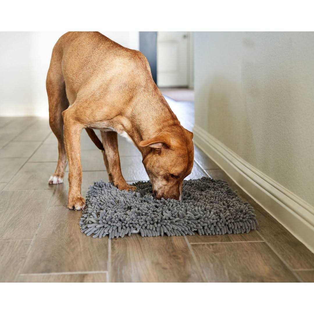Pet Parents Forager Slow Feeder Cat & Dog Snuffle Mat & Feeding Mat - Nail Gallerys