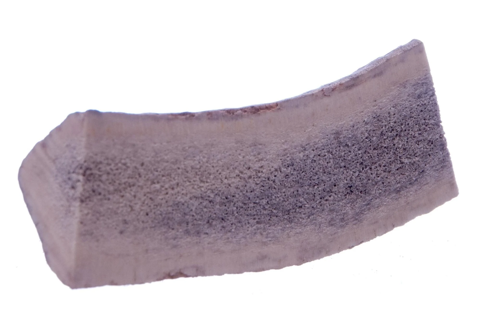 Split Antlerz (The Trew) - Nail Gallerys