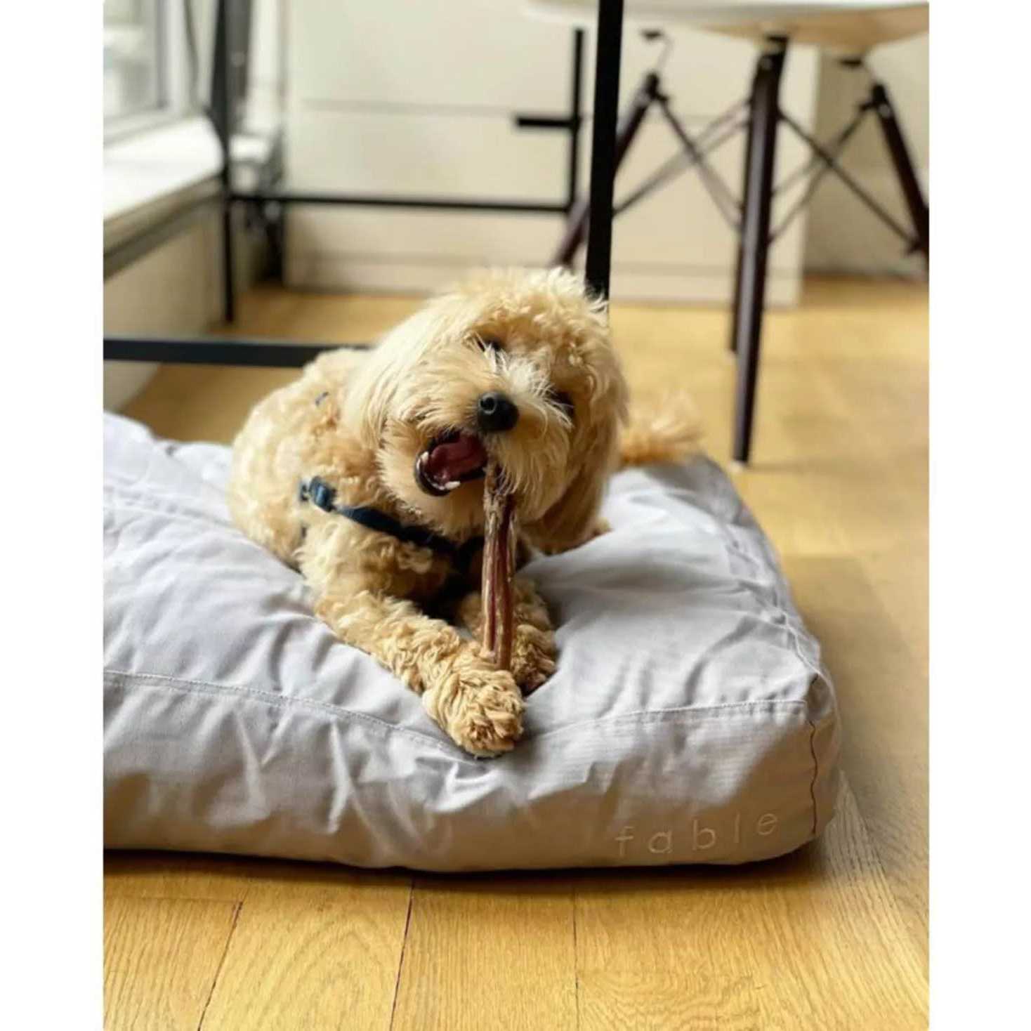 Fable Pets Signature Dog Bed - Nail Gallerys