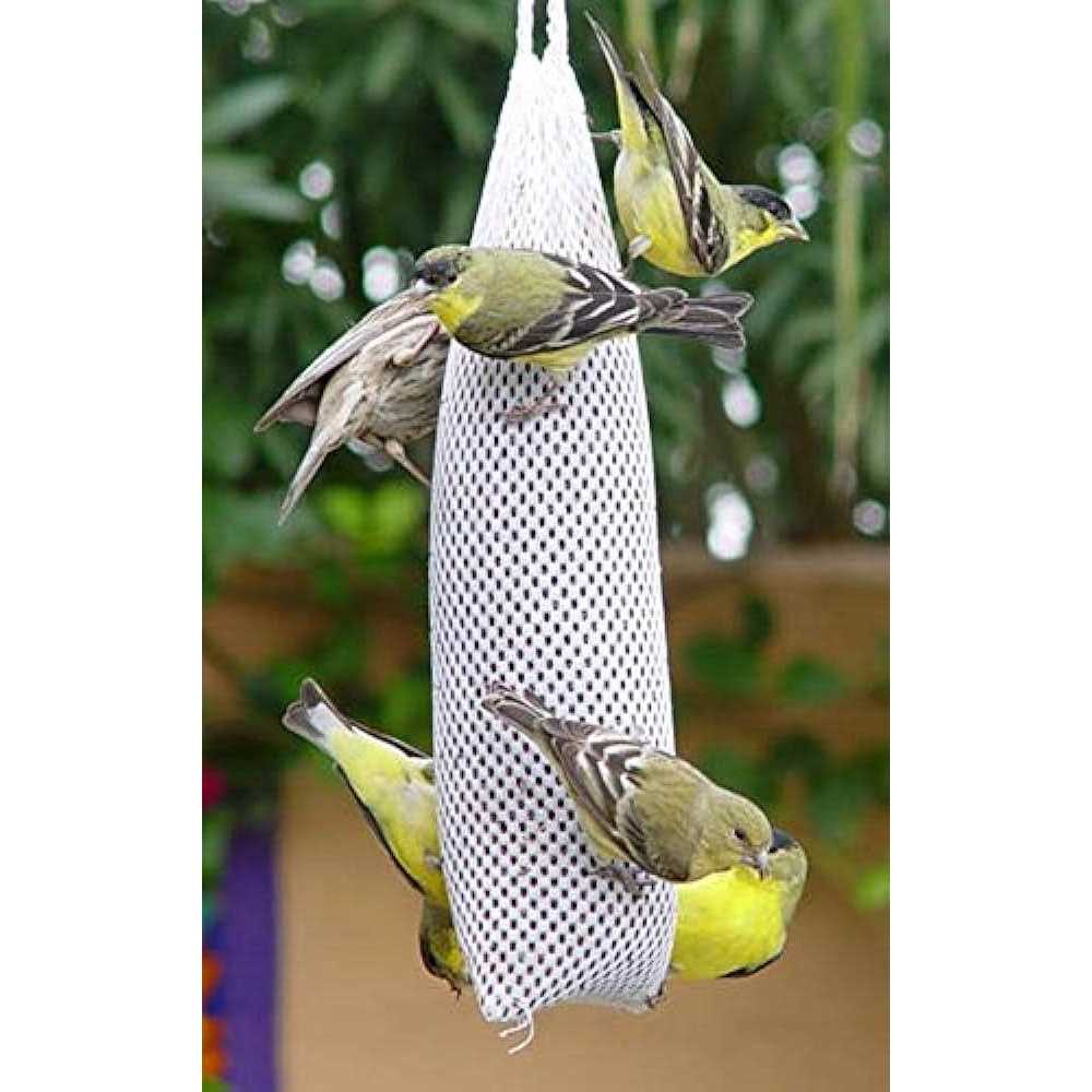 Premium New Feeder Sock Filled with Fresh Thistle Seeds for Wild Birds - Nail Gallerys