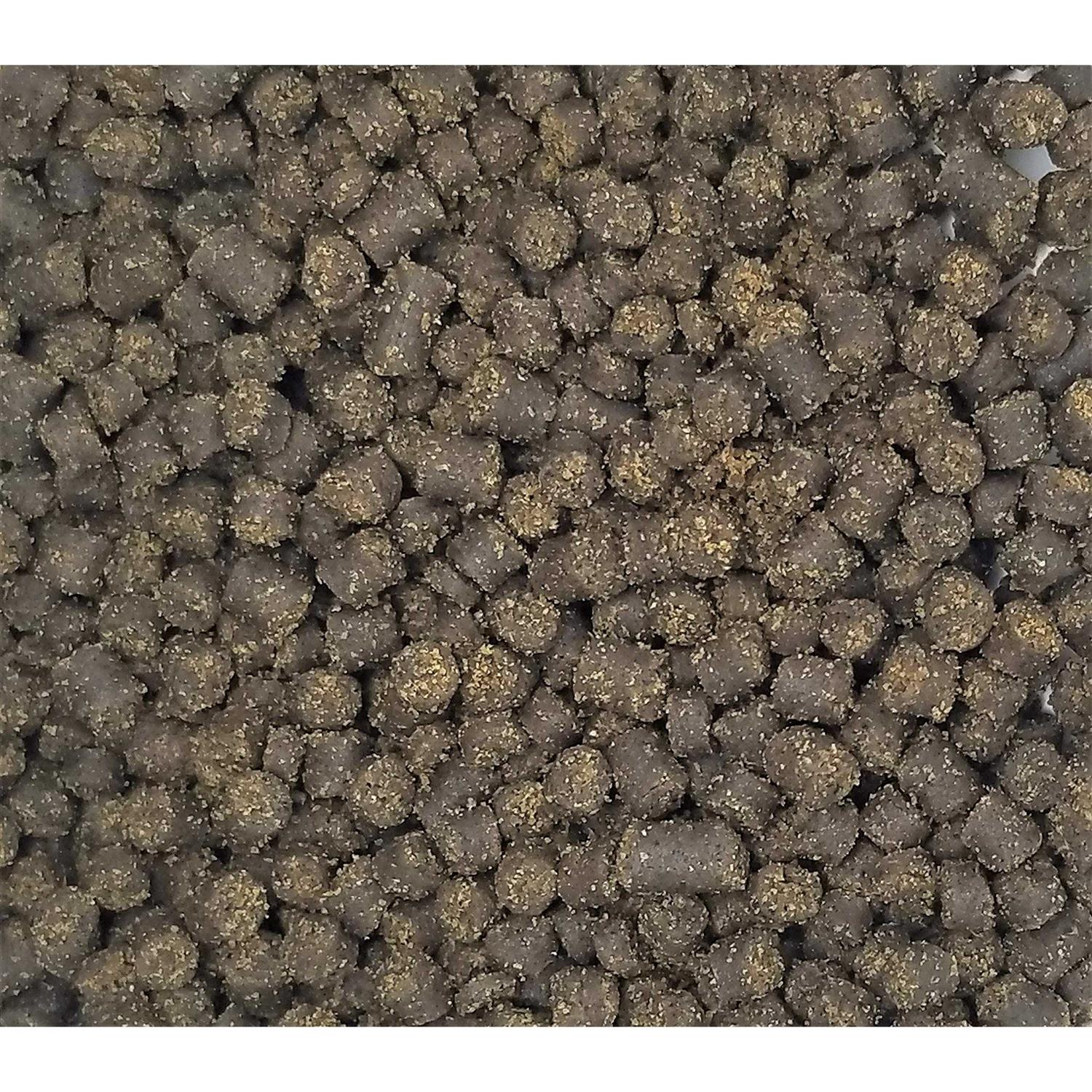 Invert Aquatics Soft Pellets for Axolotls Moist Sinking Diet for Axolotl - Nail Gallerys
