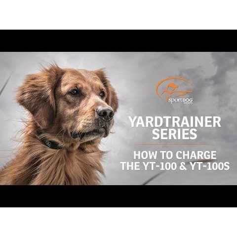 SportDOG YardTrainer 100 - Nail Gallerys
