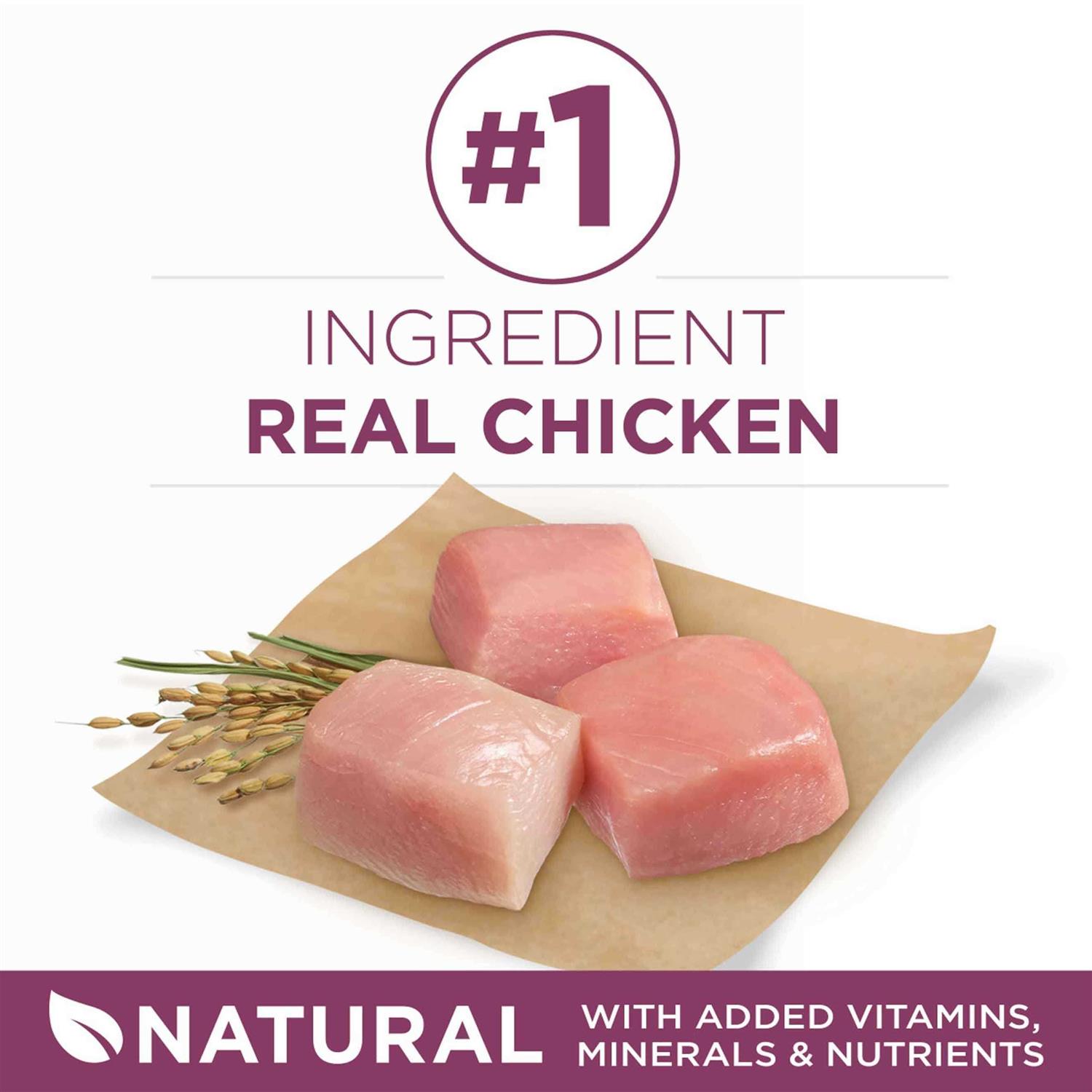 Purina ONE SmartBlend Healthy Puppy Formula Dry Dog Food - Nail Gallerys