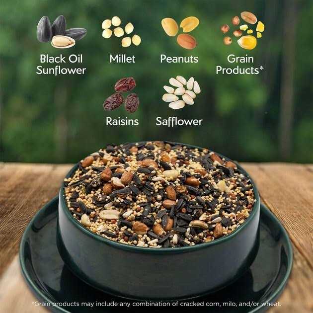 Morning Song Nut & Fruit Wild Bird Food - Nail Gallerys