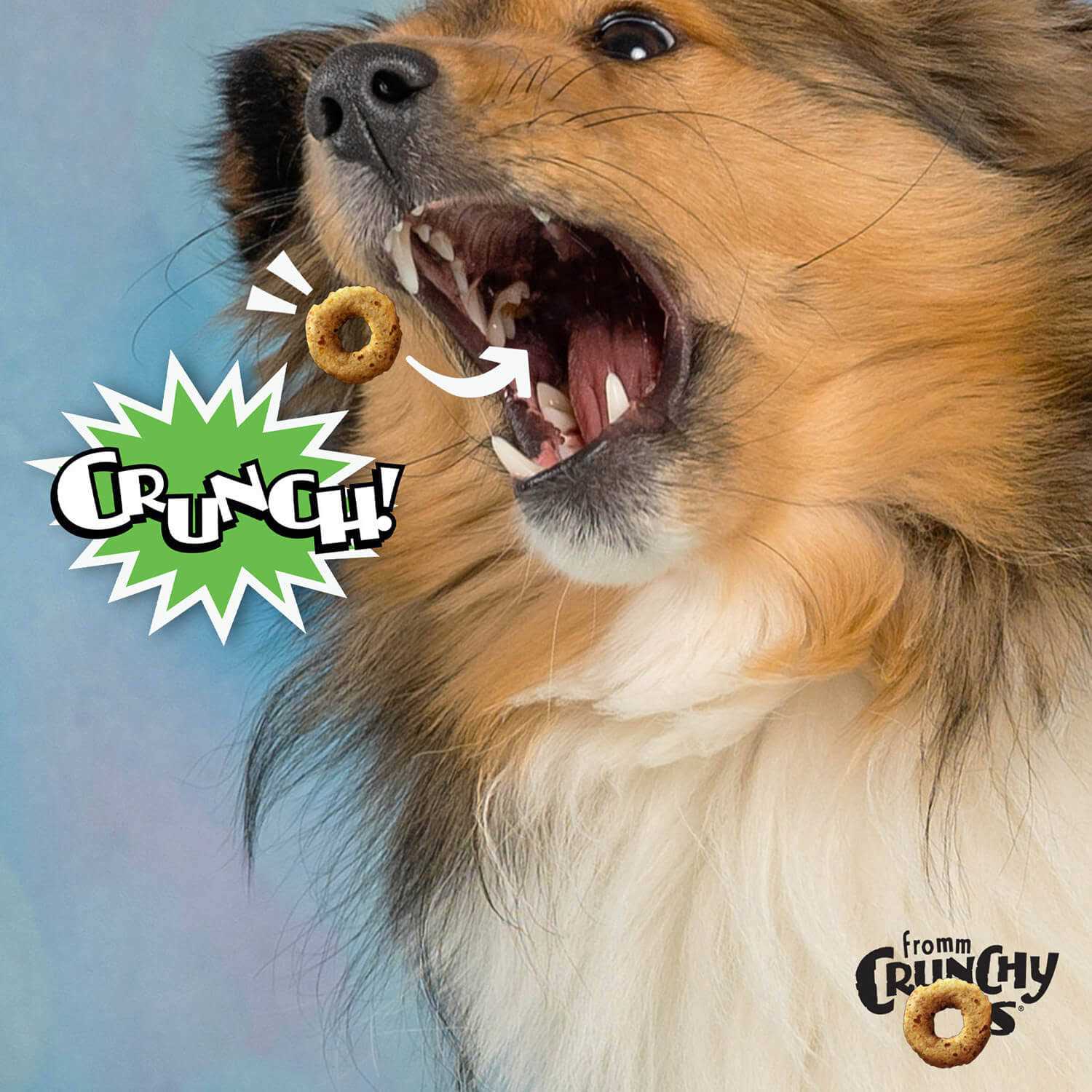 Fromm Crunchy O’s Dog Treats - Nail Gallerys