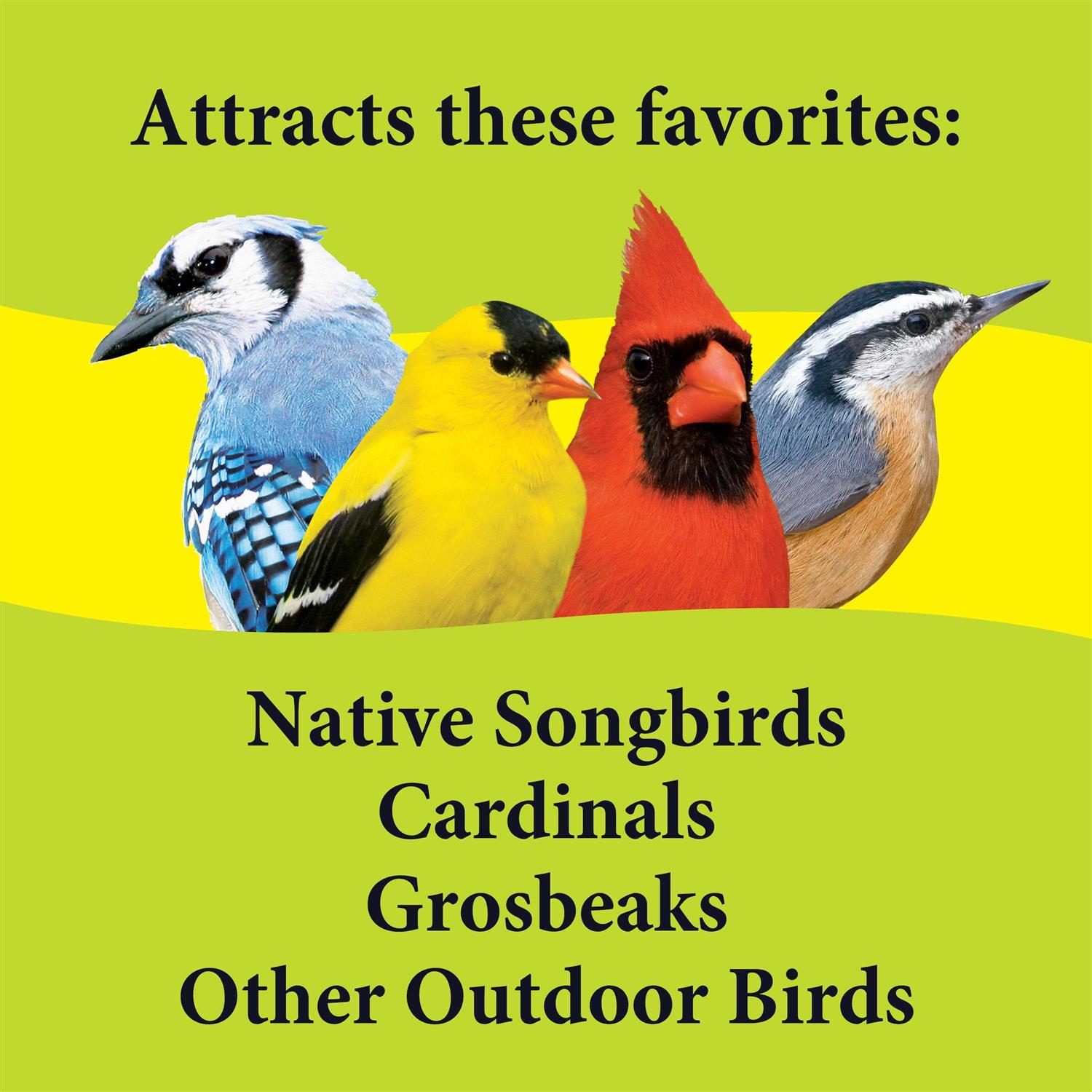 3-d Pet Products Deck Porch Patio Blend Wild Bird Food - Nail Gallerys