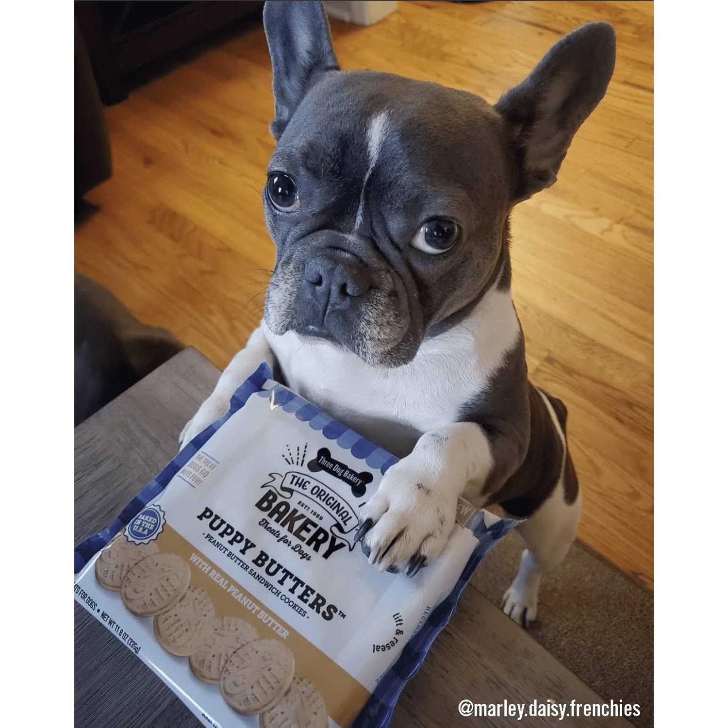 Three Dog Bakery Puppy Butters Peanut Butter Cookies Dogs Treats - Nail Gallerys