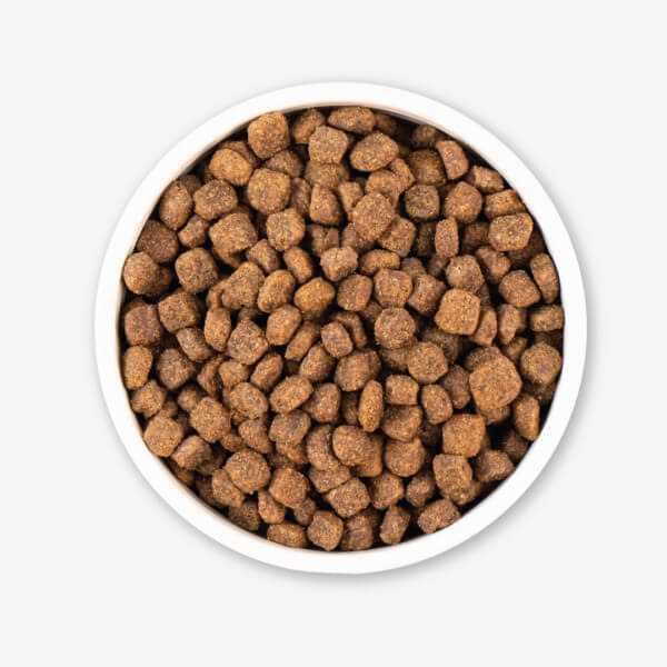 Earthborn Holistic Grain Free Dry Dog Food Meadow Feast - Nail Gallerys