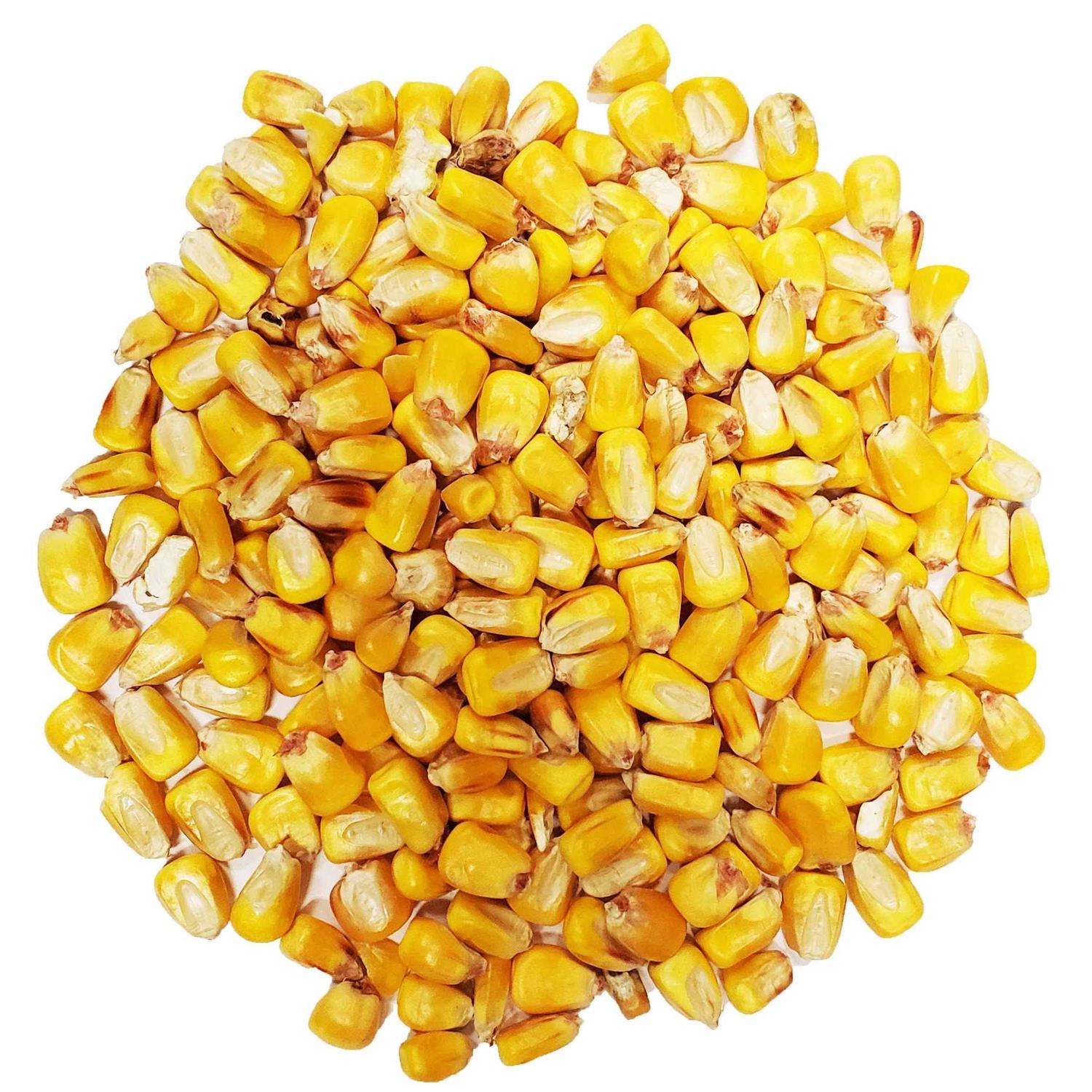 CountryMax Bulk Whole Corn for Wildlife Feeding - Nail Gallerys
