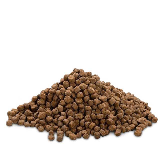 Bully Max 24/14 High Protein & Growth Puppy Food - Nail Gallerys