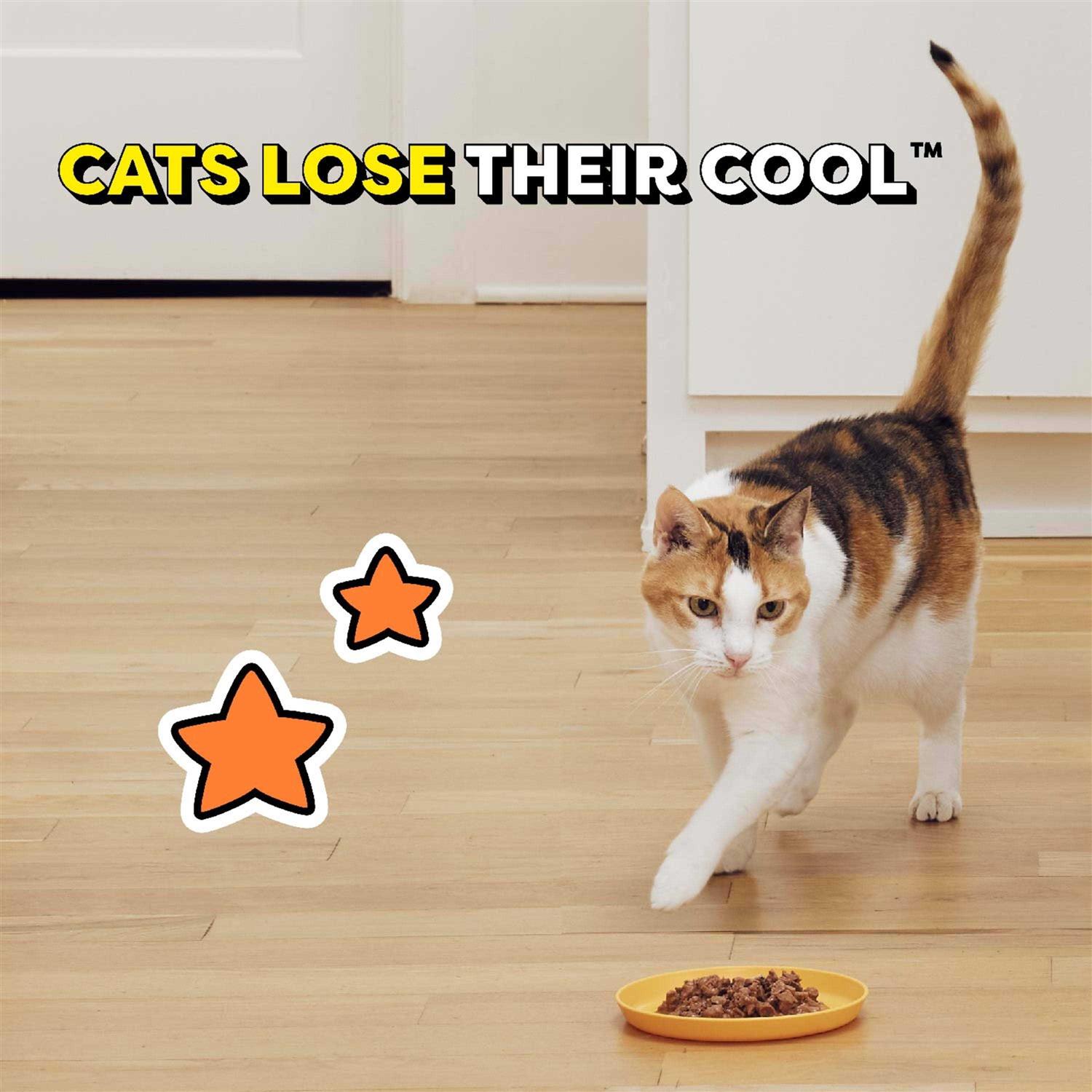 Temptations Tasty Chicken Flavor Gravy Wet Cat Food - Nail Gallerys