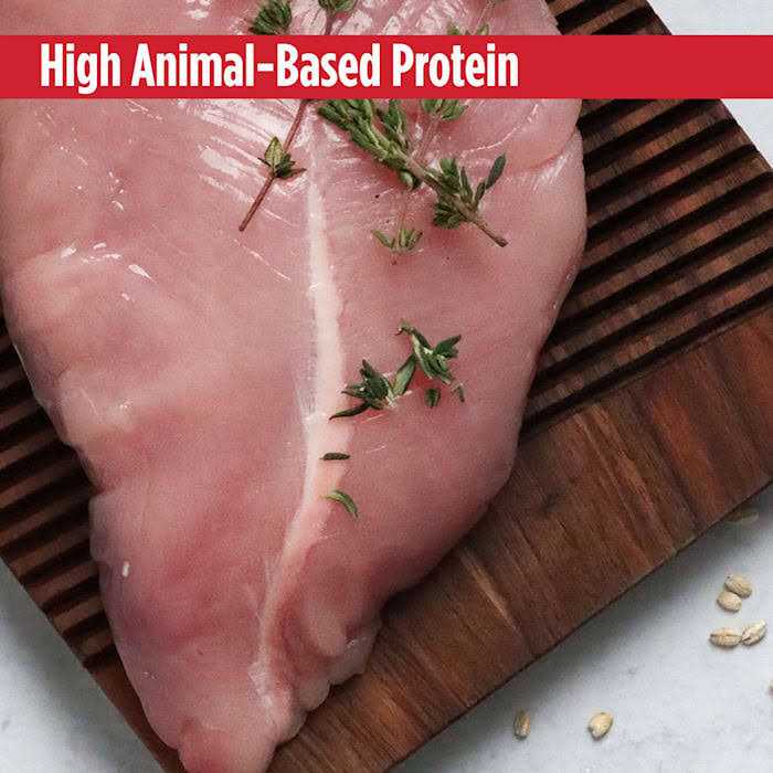 Nulo MedalSeries Turkey Small Breed Adult Dry Dog Food - Nail Gallerys