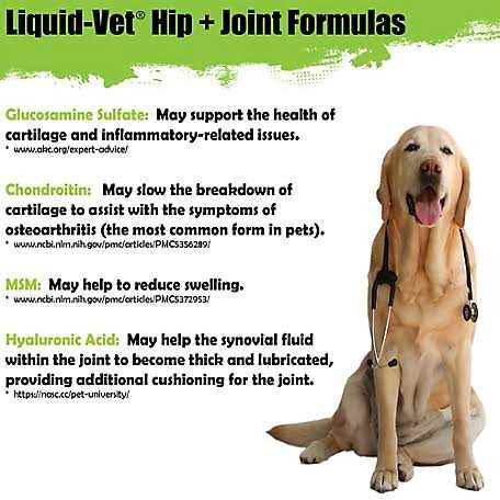 Liquid Vet Joint Care Pot Roast Flavor LVDJSPR04PK32U - Nail Gallerys