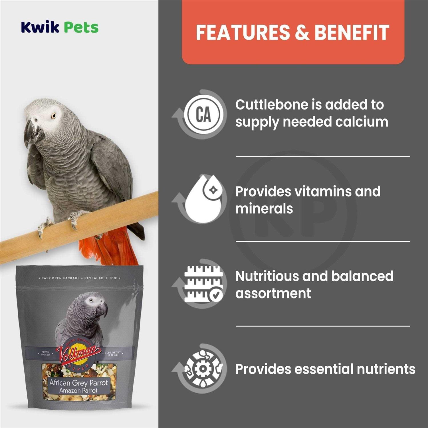 Volkman Avian Science Super African Grey - Nail Gallerys