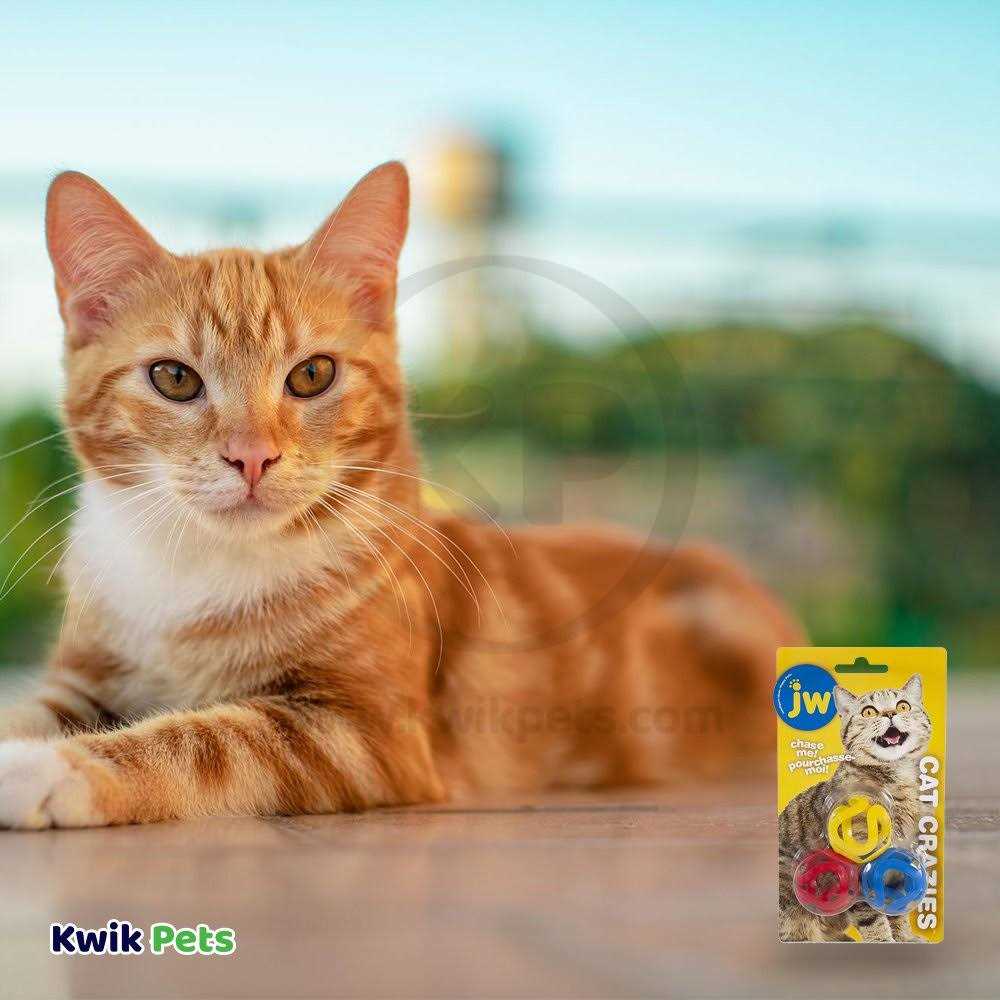 JW Pet Cat Crazies Toy - Nail Gallerys