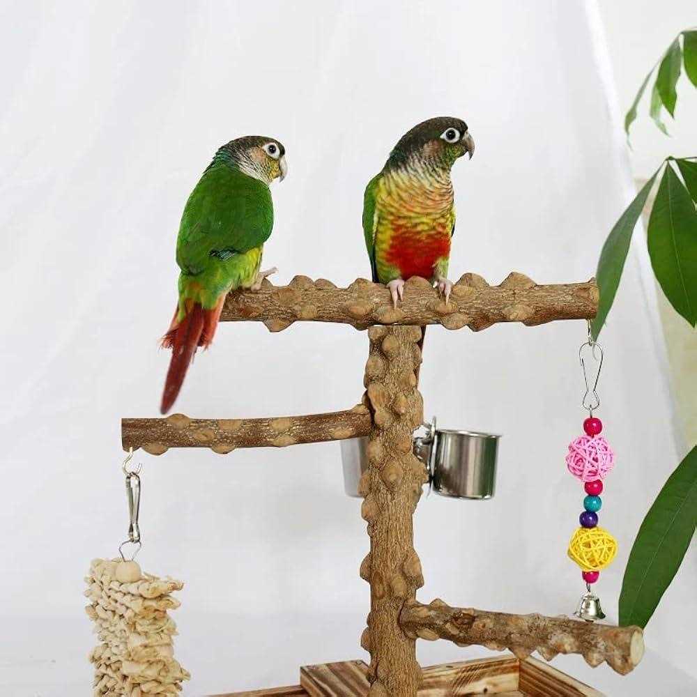 Bird Perch Platform Stand,Wood Perch Bird Platform Parrot Stand Playground Cage Accessories for Small Anminals Rat Hamster Gerbil Rat Mouse Lovebird - Nail Gallerys