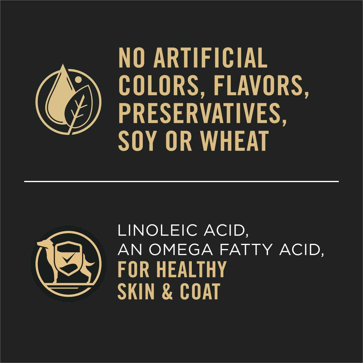 Purina Pro Plan Sensitive Skin & Stomach Salmon and Rice Entree Wet Dog Food - Nail Gallerys